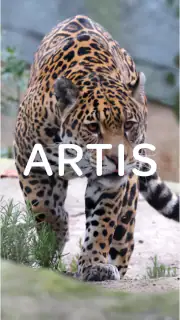 ARTIS screenshot 1