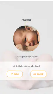 BabyHello Babagondozás 0-2 év screenshot 1