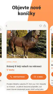 Bazoš: online bazar screenshot 1