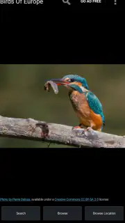 Birds Of Europe Guide screenshot 1