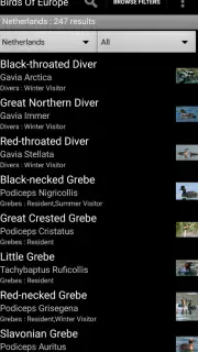 Birds Of Europe Guide screenshot 2