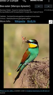 Birds Of Europe Guide screenshot 3