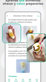 BLW Ideas - Recetas Bebés screenshot 3
