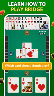 Bridge - Card Game screenshot 3