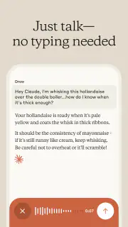 Claude by Anthropic screenshot 8