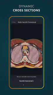 Complete Anatomy screenshot 7