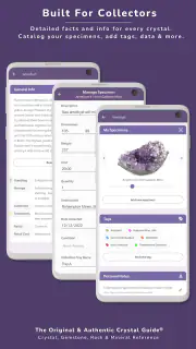 Crystal Guide® Pocket Edition screenshot 4