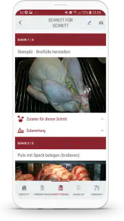 Dampfguide screenshot 6