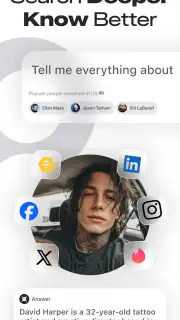 Deepsearch AI Search Assistant screenshot 1