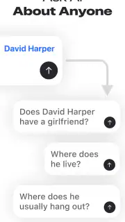 Deepsearch AI Search Assistant screenshot 2
