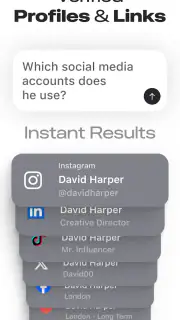 Deepsearch AI Search Assistant screenshot 5