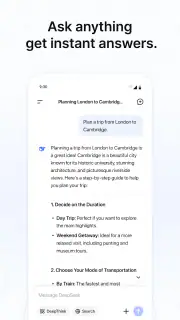 DeepSeek - AI Assistent screenshot 2