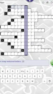 Denksport NL screenshot 2