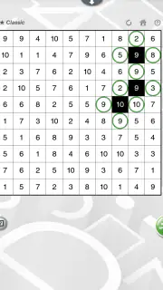 Denksport NL screenshot 6
