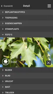 Ebben TreeEbb screenshot 4
