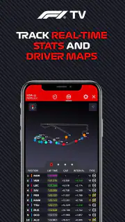 Formula 1® screenshot 3