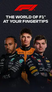 Formula 1® screenshot 6