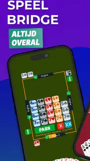 Fun Bridge screenshot 1