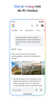 Google screenshot 2