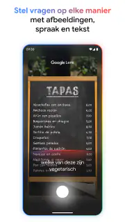 Google screenshot 3