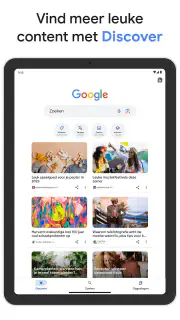 Google screenshot 6