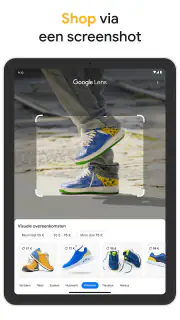 Google screenshot 7