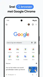 Google Chrome screenshot 1