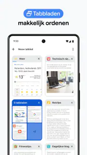 Google Chrome screenshot 4