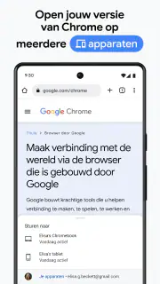 Google Chrome screenshot 5