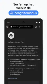 Google Chrome screenshot 6
