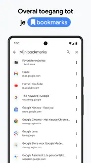 Google Chrome screenshot 8