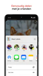 Google Foto's screenshot 5