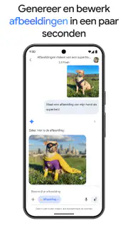 Google Gemini screenshot 1