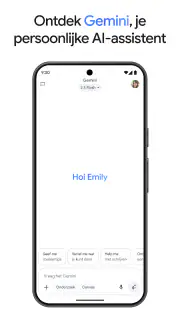 Google Gemini screenshot 2