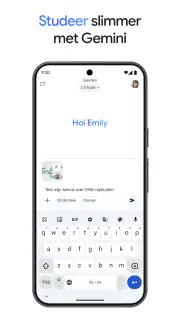 Google Gemini screenshot 4