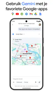 Google Gemini screenshot 6