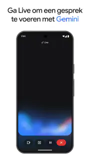 Google Gemini screenshot 7