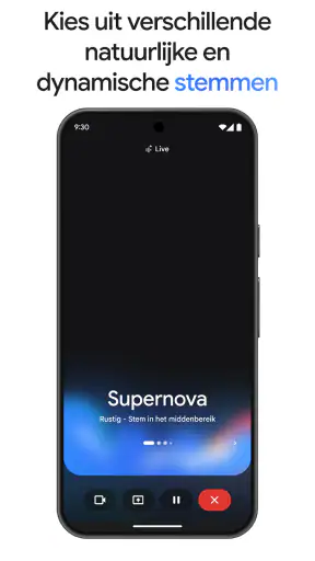 Google Gemini screenshot