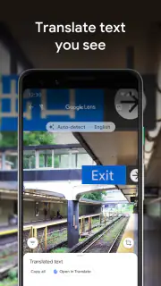 Google Lens screenshot 3