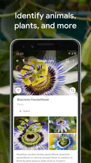 Google Lens screenshot 4