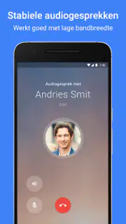 Google Meet screenshot 4