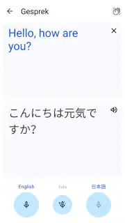 Google Translate screenshot 5
