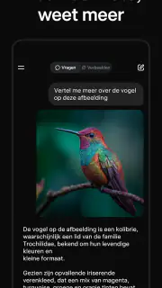 Grok: AI-assistent screenshot 3
