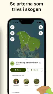 Hitta Skog: Svamp och Bär screenshot 3