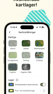 Hitta Skog: Svamp och Bär screenshot 8