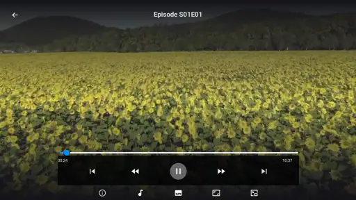 Ib Player - Smarter Live TV screenshot 2