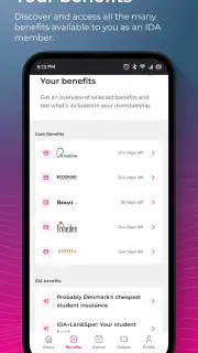 IDA Union DK screenshot 5