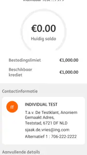 ING Commercial Card screenshot 3