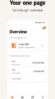 ING InsideBusiness screenshot 2