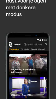 L1 screenshot 5